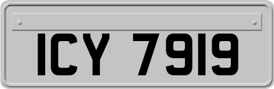 ICY7919