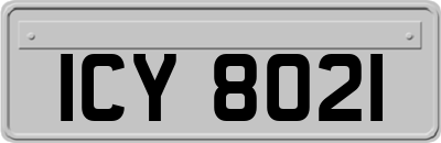 ICY8021