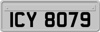 ICY8079