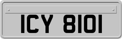 ICY8101
