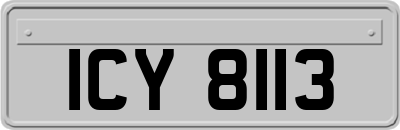 ICY8113
