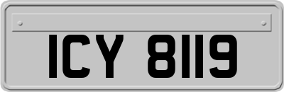 ICY8119