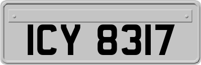 ICY8317