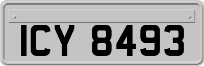 ICY8493