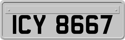 ICY8667