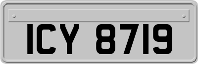 ICY8719