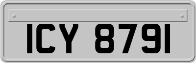 ICY8791