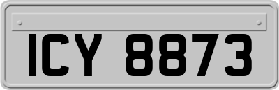 ICY8873