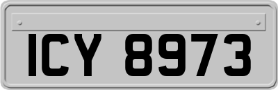 ICY8973