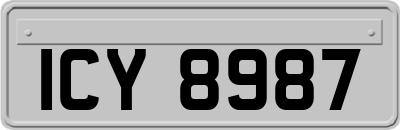 ICY8987