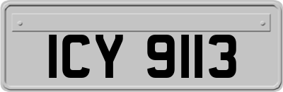 ICY9113