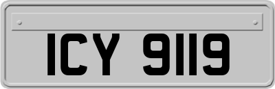 ICY9119