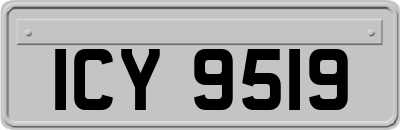 ICY9519