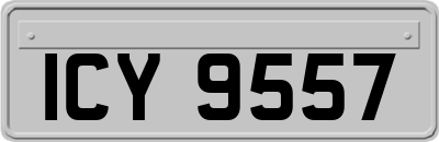 ICY9557