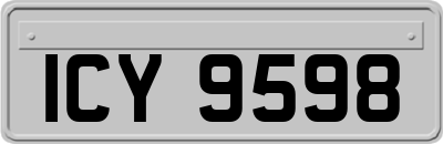 ICY9598