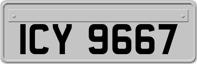 ICY9667