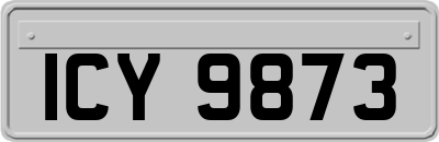 ICY9873