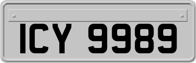 ICY9989