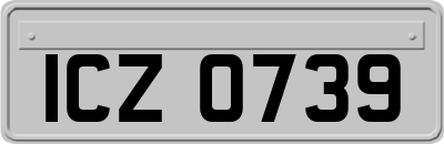 ICZ0739