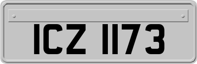ICZ1173
