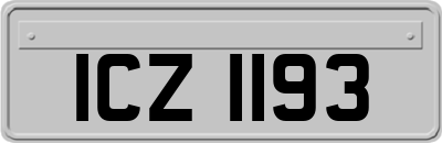 ICZ1193