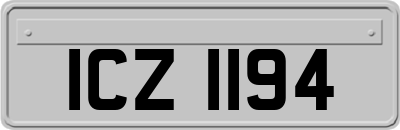 ICZ1194