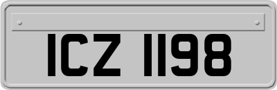ICZ1198