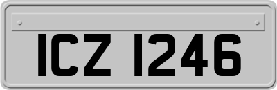 ICZ1246