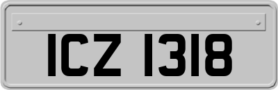 ICZ1318