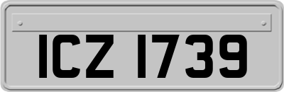 ICZ1739