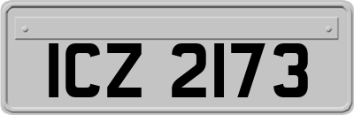 ICZ2173