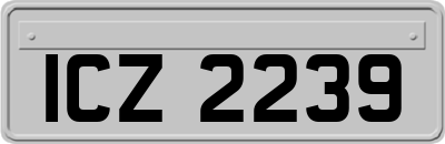 ICZ2239