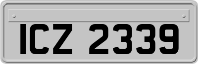 ICZ2339