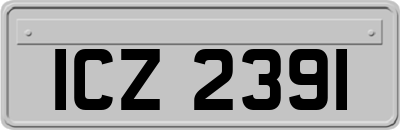 ICZ2391