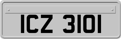 ICZ3101