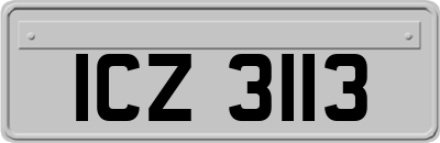 ICZ3113