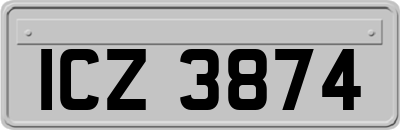 ICZ3874