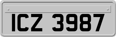 ICZ3987