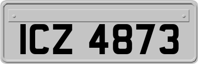 ICZ4873