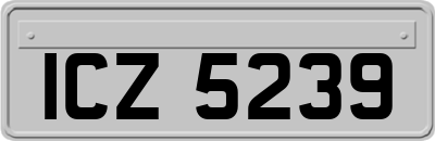 ICZ5239