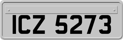 ICZ5273