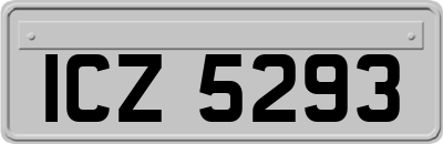 ICZ5293
