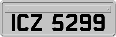 ICZ5299
