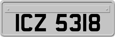 ICZ5318