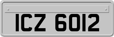 ICZ6012