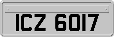 ICZ6017