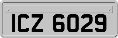 ICZ6029