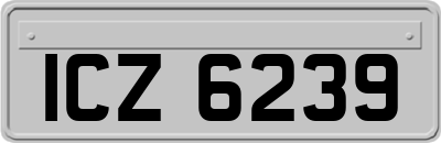 ICZ6239