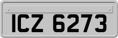 ICZ6273