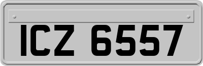 ICZ6557